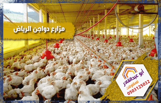 مزارع دواجن الرياض