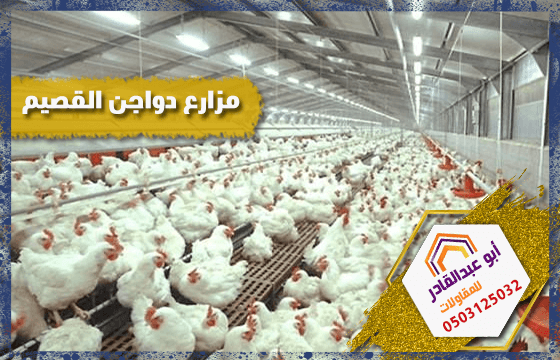 مزارع دواجن القصيم