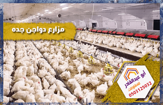 مزارع دواجن جده