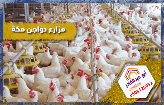 مزارع دواجن مكة
